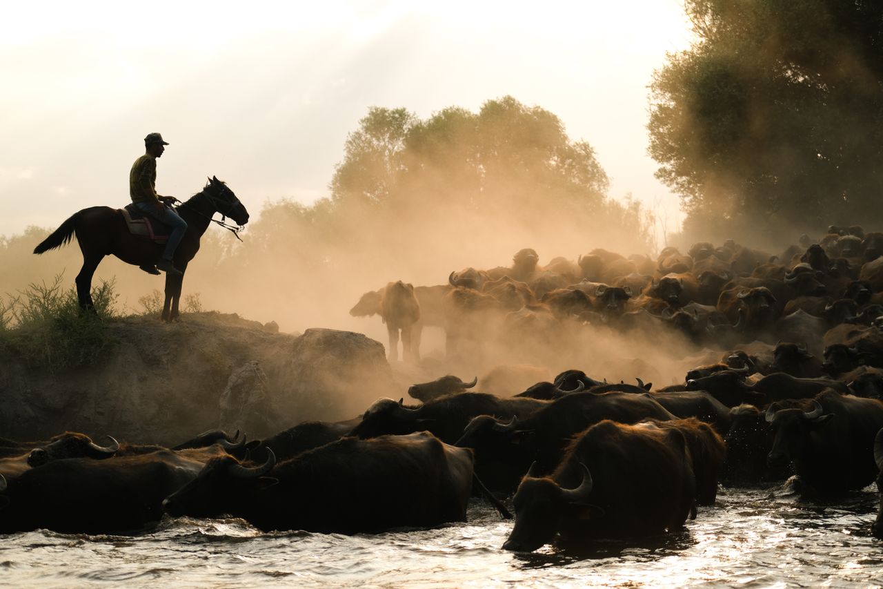 Africa 5 Destinations