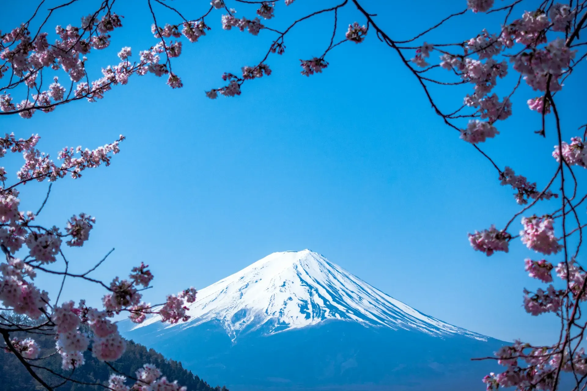 Asia