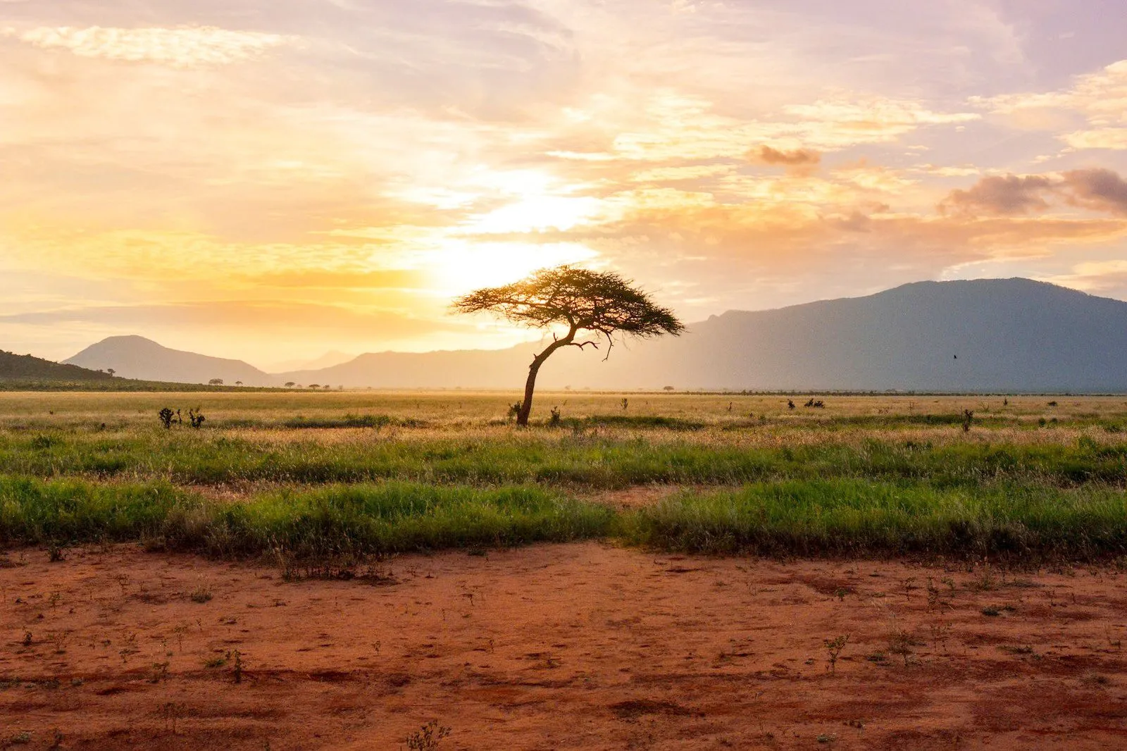 South Africa