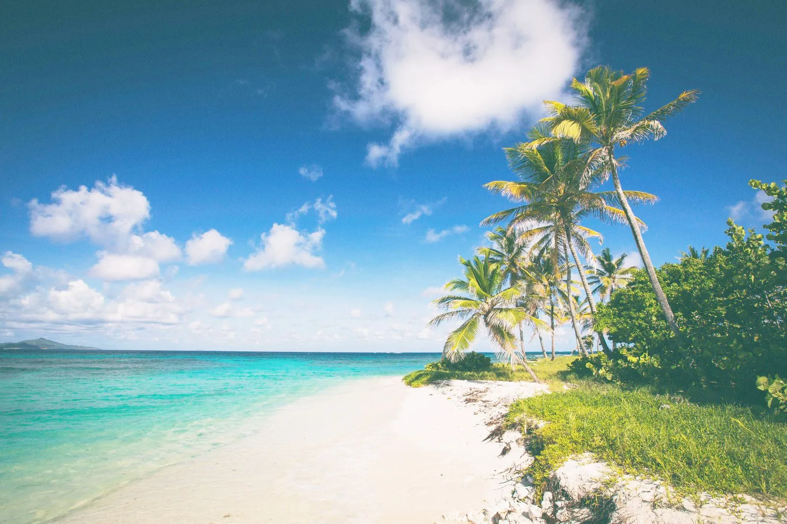Caribbean